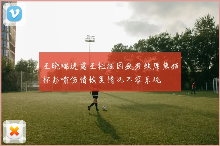 王晓瑞透露王钰栋因疲劳缺席熊猫杯彭啸伤情恢复情况不容乐观