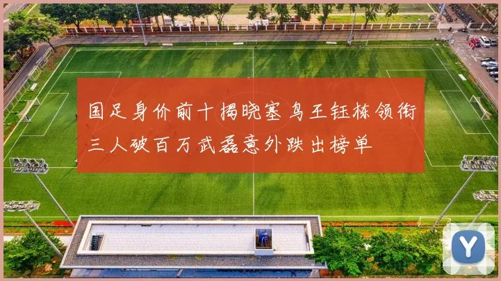国足身价前十揭晓塞鸟王钰栋领衔三人破百万武磊意外跌出榜单