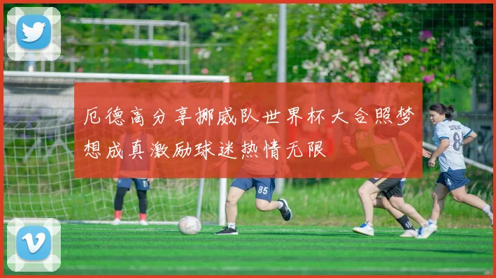 厄德高分享挪威队世界杯大合照梦想成真激励球迷热情无限