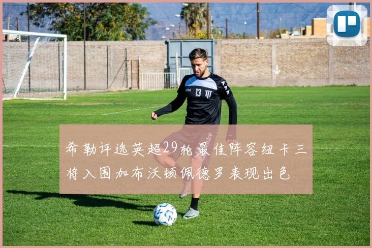 希勒评选英超29轮最佳阵容纽卡三将入围加布沃顿佩德罗表现出色