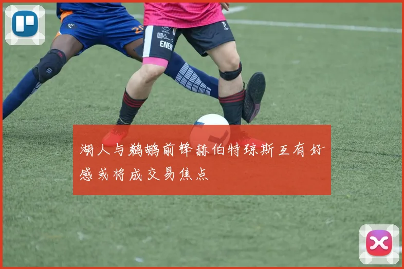 湖人与鹈鹕前锋赫伯特琼斯互有好感或将成交易焦点