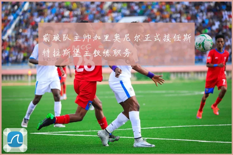 前狼队主帅加里奥尼尔正式接任斯特拉斯堡主教练职务